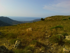 IMAG02230.jpg