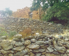 IMAG02430.jpg