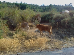 IMAG02120.jpg