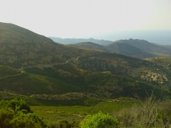 IMAG02200.jpg