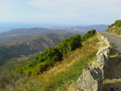 IMAG02220.jpg
