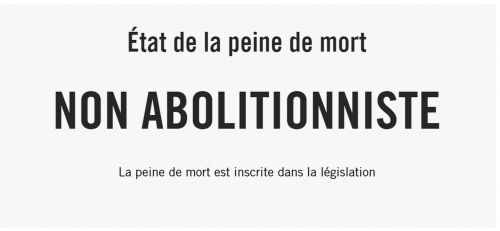 AMNESTY PEINE MORT.jpg