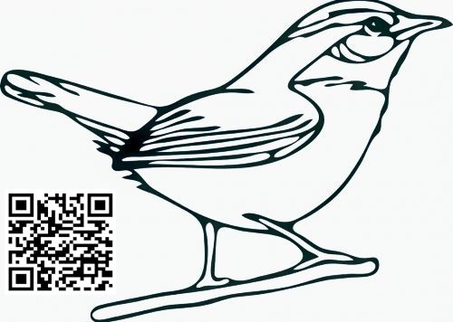 bird grey qrcode.jpg